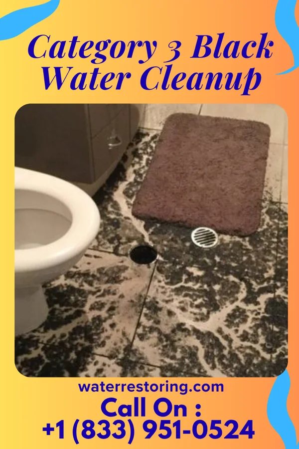 Category 3 Black Water Cleanup in Coldstream, KY