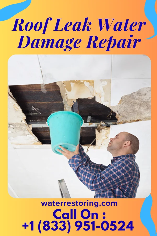 Roof Leak Water Damage Repair in Coldstream, KY
