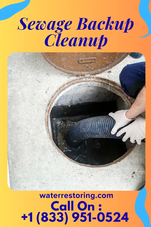 Sewage Backup Cleanup in Coldstream, KY